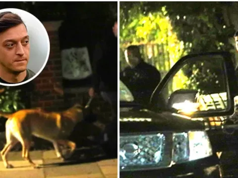 SỐC! Ozil thuê an ninh và chó nghiệp vụ canh gác 24/24 căn nhà