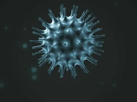 SỐC! Phát hiện chủng virus mới đáng sợ hơn COVID-19, thế giới nguy cơ 'toang' toàn tập