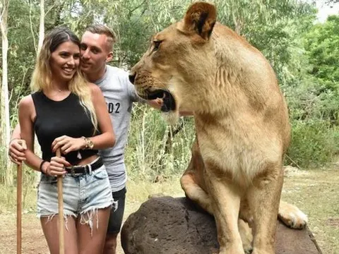 Bạo gan, cựu sao Barca vừa hôn bạn gái, vừa 'chọc tức' sư tử