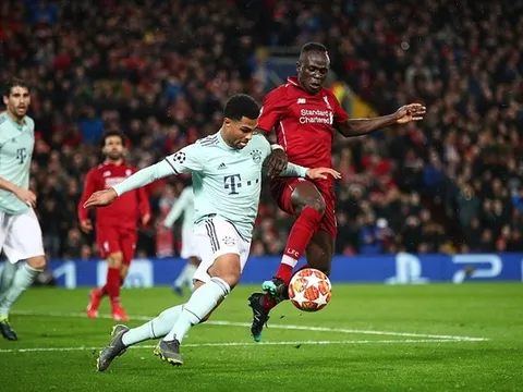 Fan Liverpool sung sướng: "Cậu ấy đúng là một con chó Bull"