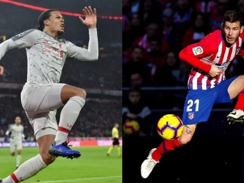 Nhìn vụ Hernandez, CĐV Liverpool khẳng định quá hời khi mua Van Dijk