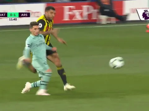 'Đó là sự đần độn đúng nghĩa'