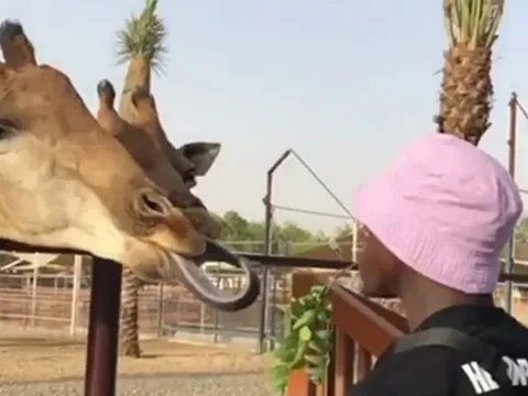 Quá mong Mendy trở lại, Man City đưa anh sang hẳn Dubai