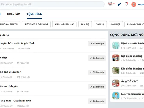 Webtretho – Mạng xã hội dẫn đầu và tiên phong của phụ nữ Việt