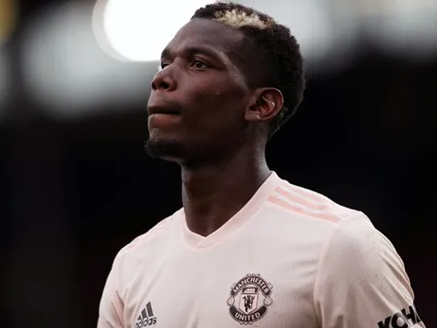 60% fan M.U muốn Ban lãnh đạo làm điều này với Pogba