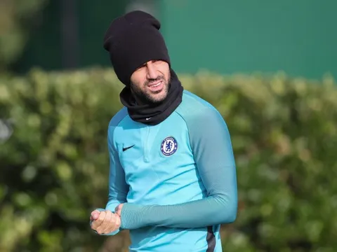 Bị Man Utd tiếp cận, Chelsea vội trói chân Fabregas