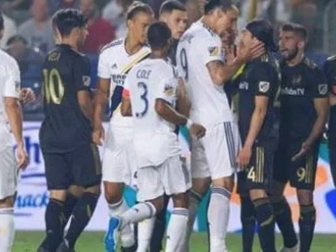 Tát Lee Nguyễn, Ibrahimovic chịu án từ MLS