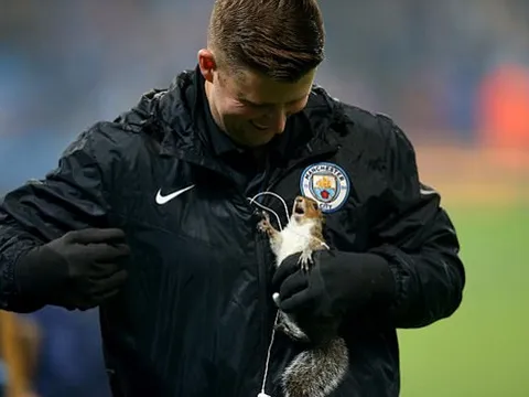 Chú sóc bướng bỉnh làm náo loạn sân đấu Man City