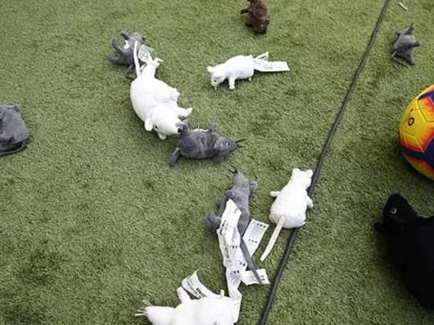 Fan Atletico hủy hoại bia kỷ niệm Courtois, ném chuột và la ó khắp sân