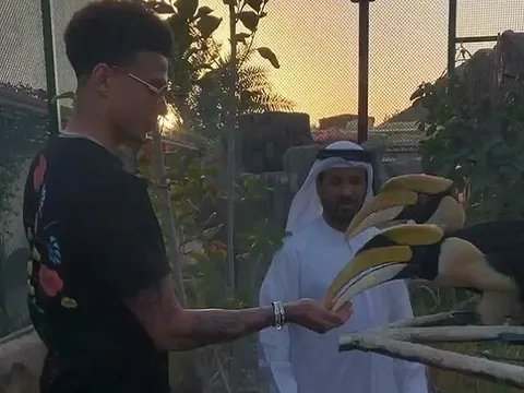 Đi dưỡng thương, Alli tranh thủ thăm thú nơi ít ngờ ở Dubai
