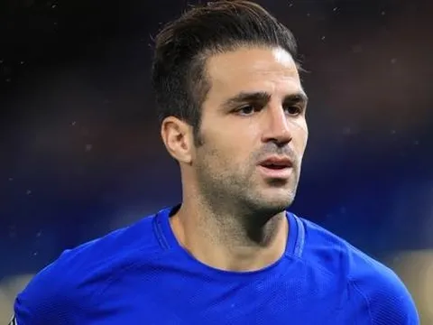 Fabregas thú nhận từng ném pizza vào Sir Alex Ferguson