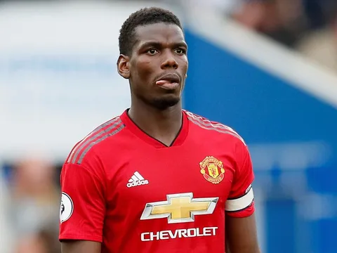 Paul Pogba nhận sai sau trận thua muối mặt trước Brighton