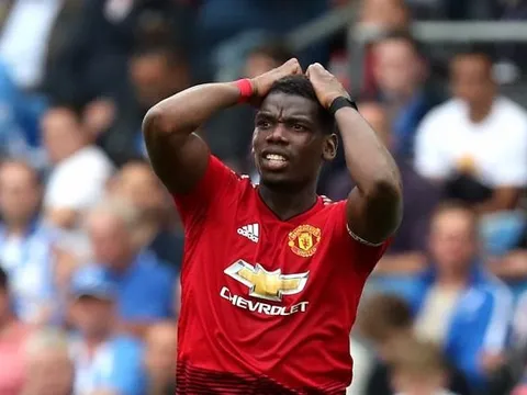 "Pogba không dùng não của mình đủ mức"