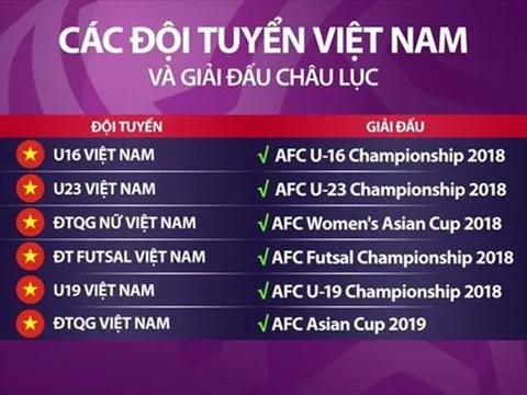 VFF cần 70 tỷ đồng cho 6 đội tuyển dự VCK châu Á