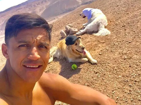 Lỡ World Cup, Alexis Sanchez giải sầu với 2 chú chó cưng