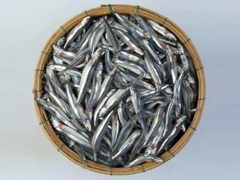 12 thực phẩm giàu dinh dưỡng bán đầy chợ Việt, thích hợp cho cả nhà dịp lễ, từ 15.000 đồng có thể mua