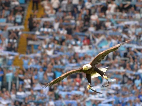Bị Sampdoria 'chặt chém' không thương tiếc, Lazio đáp lại bằng 4 bàn