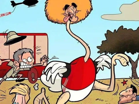 Biếm họa: Fellaini làm náo loạn Etihad