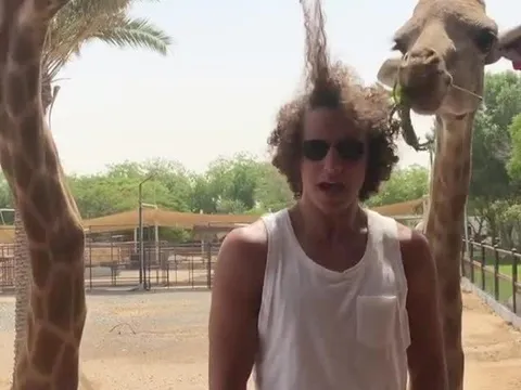 David Luiz biến quả tóc xù thành món ăn cho hươu cao cổ
