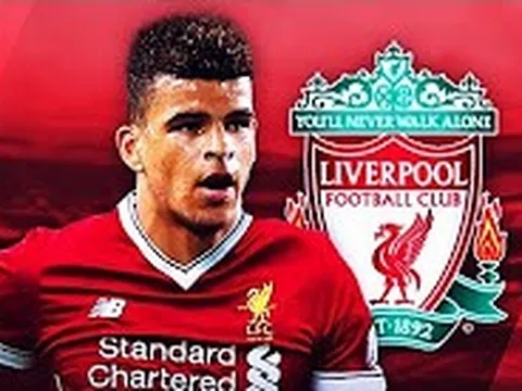 Dominic Solanke, chàng tân binh đang chơi cực hay của Liverpool
