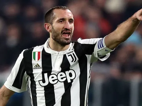 Giorgio Chiellini - Lá chắn thép