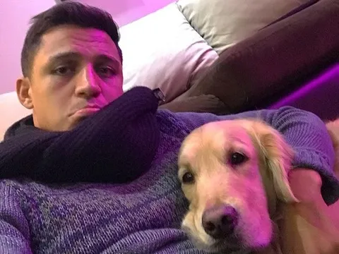 Sắp quay lại Arsenal, Alexis Sanchez đăng ảnh "cáo ốm"