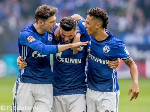 Schalke 04 vs. VfL Wolfsburg (Vòng 28 Bundesliga)