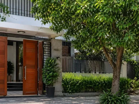 Vì sao không nên trồng cây lớn trước nhà? 3 lý do nhiều người chỉ nhận ra khi đã muộn