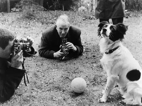 World Cup 1966 và câu chuyện về người hùng… 4 chân