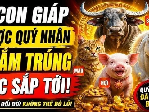4 con giáp quý nhân ngắm trúng, đụng đâu cũng ra Tiền