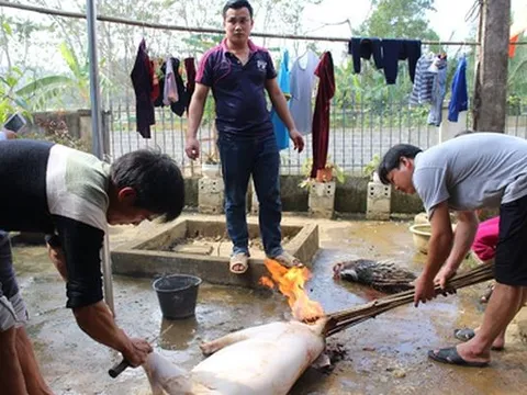 Gia đình "đôi tay vàng" Bùi Tiến Dũng mổ lợn khao chiến công của U23 Việt Nam