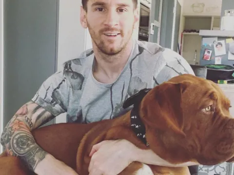 Hoảng hốt với ảnh Messi khoe chó cưng ngoại cỡ