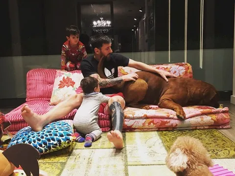 Messi chơi đùa cùng chó khổng lồ