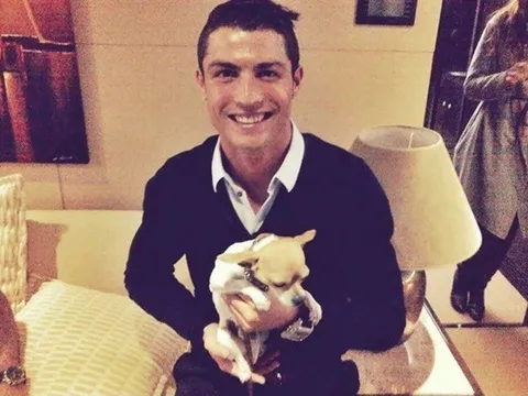 Ronaldo ra tay nghĩa hiệp cứu 80 chú chó