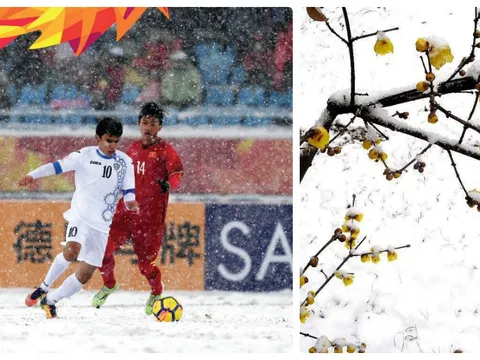 U23 Việt Nam và chuyện ngôn tình nhất chi mai