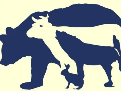 Trắc nghiệm tâm lý: Bạn nhìn thấy con vật nào đầu tiên?