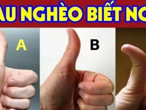 Người có tướng tay này: Cả đời giàu sang phú quý