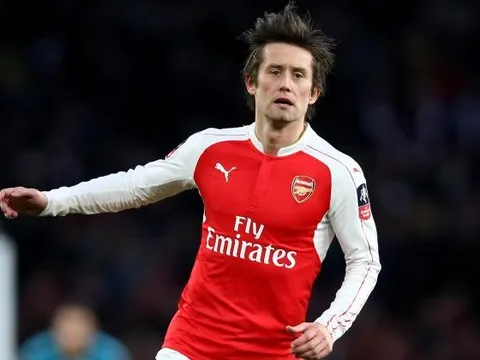Rosicky - viên pha lê tuyệt mĩ của bóng đá thế giới
