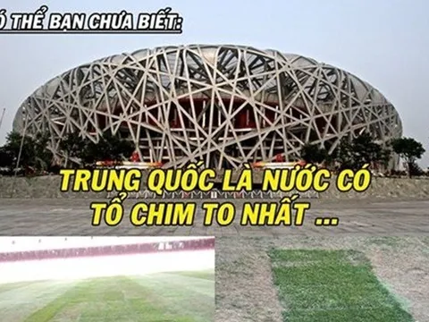 Ảnh chế: Trung Quốc trình làng ‘Tổ Chim’ thế hệ mới; Mourinho chờ đợi Pogba trong vô vọng