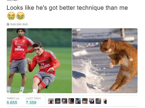 Bellerin 'tự dìm hàng' trên mạng xã hội