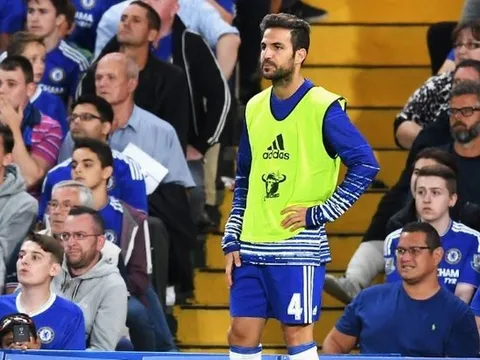 Bị Conte ngó lơ, Fabregas sắp rời Chelsea?