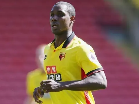 Bỏ lỡ bàn thắng khó tin, tiền đạo Watford bị 'troll' nhiệt tình
