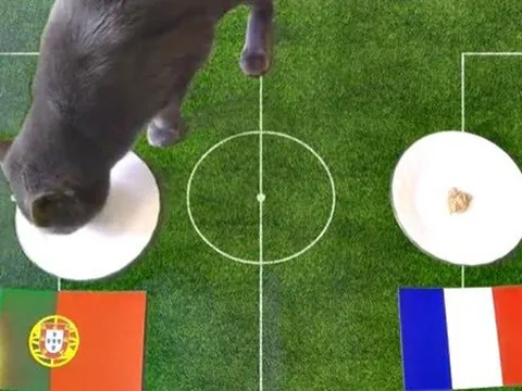 Xem Cass 'tiên tri' dự đoán chung kết Bồ Đào Nha vs Pháp