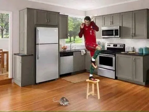 Ảnh chế: Ronaldo "mong manh dễ vỡ" từ ngày hụt pen; Trung Quốc khẳng định "sức mạnh" khủng khiếp ở EURO 2016
