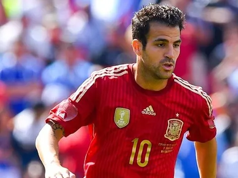 Fabregas bị loại khỏi tuyển Tây Ban Nha: Vì đâu đến nỗi