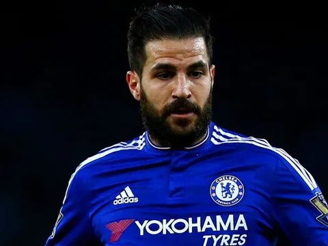 Fabregas quyết làm cho HLV Conte "sáng mắt ra"