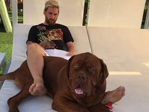 Messi khoe chó khổng lồ dọa trộm