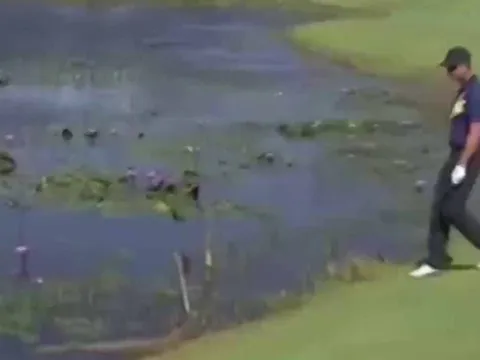 Tay golf cả gan trêu ngươi cá sấu ở Olympic Rio