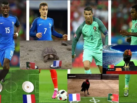Các tiên tri động vật như đoán thế nào về chung kết EURO 2016?