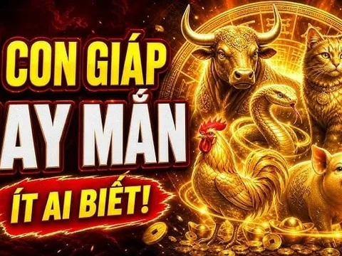 Sổ Vàng thần Tài đưa, 3 con giáp nhận cơn mưa Tiền về